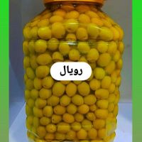 زیتون طارووم،تخفیف باور نکردنی(دست اول خرید کنید)|خوردنی و آشامیدنی|نیشابور, |دیوار