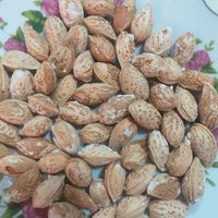 گردو و مغز گردو .ایرانی.بادام|خوردنی و آشامیدنی|تهران, سبلان|دیوار