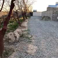 ۲۴۰ متر خوش نقشه چهار دیوار کوچه باغ گیلاس|فروش زمین و کلنگی|تهران, شهرک ولیعصر|دیوار