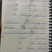 لوازم سوارکاری|اسب و تجهیزات اسب‌سواری|تهران, چیتگر|دیوار