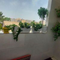 آپارتمان ۱۵۵ متری ۳خواب علیمردانی ۴۳|اجارهٔ آپارتمان|مشهد, حسین‌آباد|دیوار