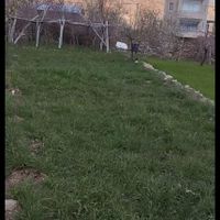 زمین باغی ۷۵۵ متر مربع * نطنز|فروش زمین و کلنگی|تهران, حمزه‌آباد|دیوار