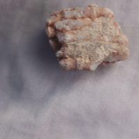 سنگ فسیل|بدلیجات|شوشتر, |دیوار