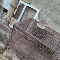 قفس فلزی جا دار|لوازم جانبی مربوط به حیوانات|قم, جمهوری|دیوار