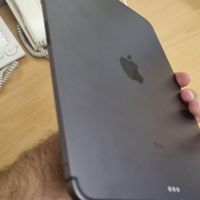 iPad Pro Wi-Fi + Cellular|تبلت|تهران, پونک|دیوار