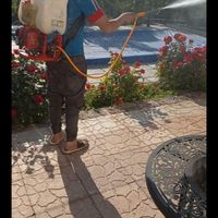 کلیه کارهای سمپاشی وسمپاشی بامهر شرکت|خدمات باغبانی و درختکاری|تهران, تجریش|دیوار