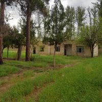 ۴۰۰۰متر باغ قدیمی|فروش زمین و کلنگی|محمدشهر, |دیوار