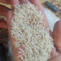 فروش برنج شمال|خوردنی و آشامیدنی|تهران, جوانمرد قصاب|دیوار