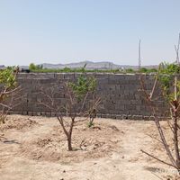 باغچه ۲۷۰ متری سند دار|فروش زمین و کلنگی|تهران, عبدل‌آباد|دیوار