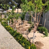 باغ باغچه ویلا زمین|فروش زمین و کلنگی|تهران, خلیج فارس|دیوار