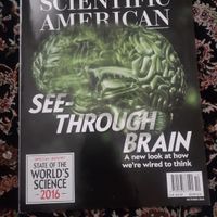 مجلات خارجی|مجلات|تهران, خزانه|دیوار