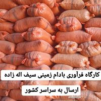 بادام زمینی پارس اباد مغان|عمده‌فروشی|تهران, فرمانیه|دیوار