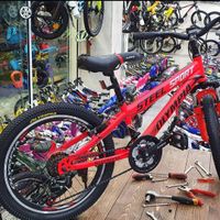 دوچرخه سایز 20 کلاجدار دنده ای (دوچرخه امین)|دوچرخه، اسکیت، اسکوتر|قم, امامزاده ابراهیم|دیوار