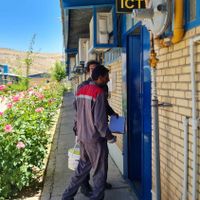 سمپاشی اماکن ، منازل و سم پاشی محیط های صنعتی|خدمات نظافت|شیراز, ملاصدرا|دیوار