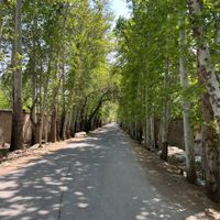 باغ ویلا سند تک برگ،چهارباغ،کردان،سهیلیه|فروش خانه و ویلا|کرج, مهرشهر - فاز ۱|دیوار