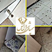 سمپاشی ساس سوسک موش کنه(سم پاشی)تهران پرند حومه|خدمات نظافت|تهران, سعادت‌آباد|دیوار
