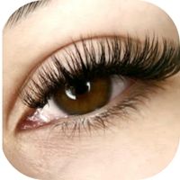 آموزش و خدمات کاشت و اکستنشن مژه لیفت و لمینت|خدمات آرایشگری و زیبایی|تهران, شهران شمالی|دیوار