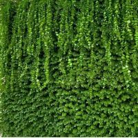گرینوال دیوار سبز آکاردئون دیوار پوش گرین وا آویز|گل مصنوعی|تهران, حسن‌آباد باقرفر|دیوار