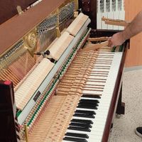 پیانو اکوستیک  کوک و رگلاژ|پیانو/کیبورد/آکاردئون|قزوین, |دیوار