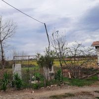 رحیم‌آباد محدوده فقیه محله فروش زمین|فروش زمین و کلنگی|رحیم‌آباد, |دیوار