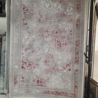 نیو کلاسیک کد ۵۳۷|فرش|اشنویه, |دیوار