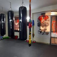 آموزش بوکس،کیک بوکس، MMA|خدمات آموزشی|تهران, جی|دیوار