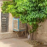 خونه قدیمی حیاط دار نقلی|اجارهٔ خانه و ویلا|شیراز, گود عربان|دیوار