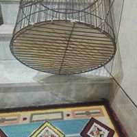 قفس کاسکو.طوطی.وانواع پرنده|لوازم جانبی مربوط به حیوانات|زاهدان, |دیوار