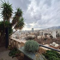 مشاوره و ویزیت کارشناس گل و گیاه در محل|خدمات باغبانی و درختکاری|تهران, جردن|دیوار