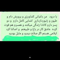 من سرایداروباغبان هستم