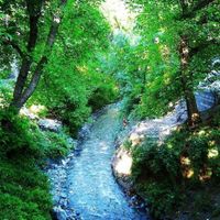 باغ کنار رودخانه سند تک برگ|فروش زمین و ملک کلنگی|طرقبه, |دیوار