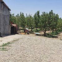 باغ آماده با تمام امکانات با سند بستان اباد|فروش دفاتر صنعتی، کشاورزی و تجاری|تبریز, |دیوار
