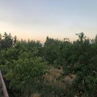 باغچه ۷۷۰ متری در فیروزبهرام، گلدسته|فروش زمین و کلنگی|تهران, یافت‌آباد|دیوار