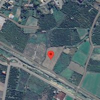 زمین باغ 3550 متر بین نکا بهشهر|فروش دفاتر صنعتی، کشاورزی و تجاری|ساری, |دیوار