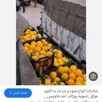 سرمایه گذاری در میدان  میوه هر کجای ایران که هستید|استخدام مالی و حسابداری و حقوقی|اصفهان, ارغوانیه|دیوار