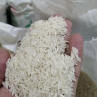انواع برنج های ایرانی  پخت و تست|خوردنی و آشامیدنی|پاکدشت, |دیوار