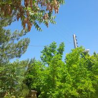 باغ شهری پردیس ملوسجان|فروش زمین و کلنگی|شیراز, شهرک گلستان|دیوار