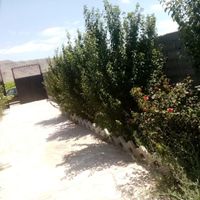 فروش زمین ۵۰۰ متری|فروش زمین و ملک کلنگی|گلبهار, |دیوار