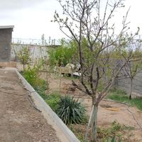 باغ نقلی داخل مجتمع آب برق|فروش خانه و ویلا|مشهد, محله چهارچشمه|دیوار