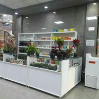 ساخت انواع قفسه ، دکور ، پیشخوان به انتخاب شما|کتابخانه، شلف، قفسه‌های دیواری|تهران, جوانمرد قصاب|دیوار