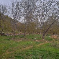 فروش باغ به متراژ ۱۳۰۰ سپیدان روستای توریستی|فروش زمین و کلنگی|شیراز, معالی‌آباد|دیوار