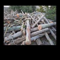 خرید چوب انواع چوب سقفی وگردو قطع هرس|عمده‌فروشی|مشهد, بلوار توس|دیوار