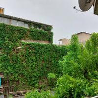۹۷متر روبروی سفارت کوچه ، شیبانی|اجارهٔ آپارتمان|تهران, فردوسی|دیوار