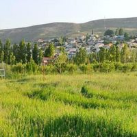 فروش باغ ۳ ساله با سند شش دانگ در فیروزکوه|فروش زمین و کلنگی|فیروزکوه, |دیوار