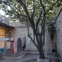 اجاره خونه ویلایی دو طبقه ونیم قابل سکونت|اجارهٔ خانه و ویلا|تهران, امین حضور|دیوار