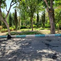 ۲۰۰ متر ویلایی فول بازسازی بیشه حبیب|اجارهٔ خانه و ویلا|اصفهان, بیشه حبیب|دیوار