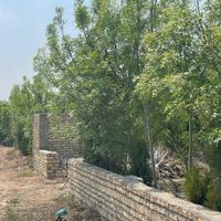 زمین ۳۴۴ متری باغچه|فروش زمین و کلنگی|تهران, ظهیرآباد|دیوار