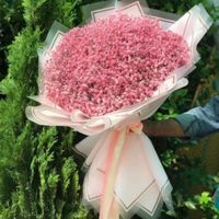 دسته گل ژیپسوفیلا سوپرایزی هدیه|گل و گیاه طبیعی|تهران, جمهوری|دیوار