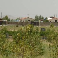 فروش باغ بادام ۱۰۰۰ متری  سنددار|فروش زمین و ملک کلنگی|تهران, آبشار تهران|دیوار