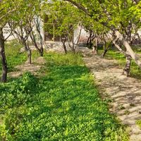 باغ ۲۰۰ متری|فروش زمین و کلنگی|اصفهان, جوزدان|دیوار